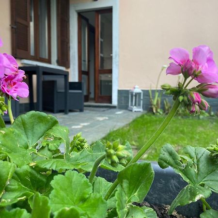 Peonia Apartment - Appartamento Vista Lago Lezzeno Dış mekan fotoğraf