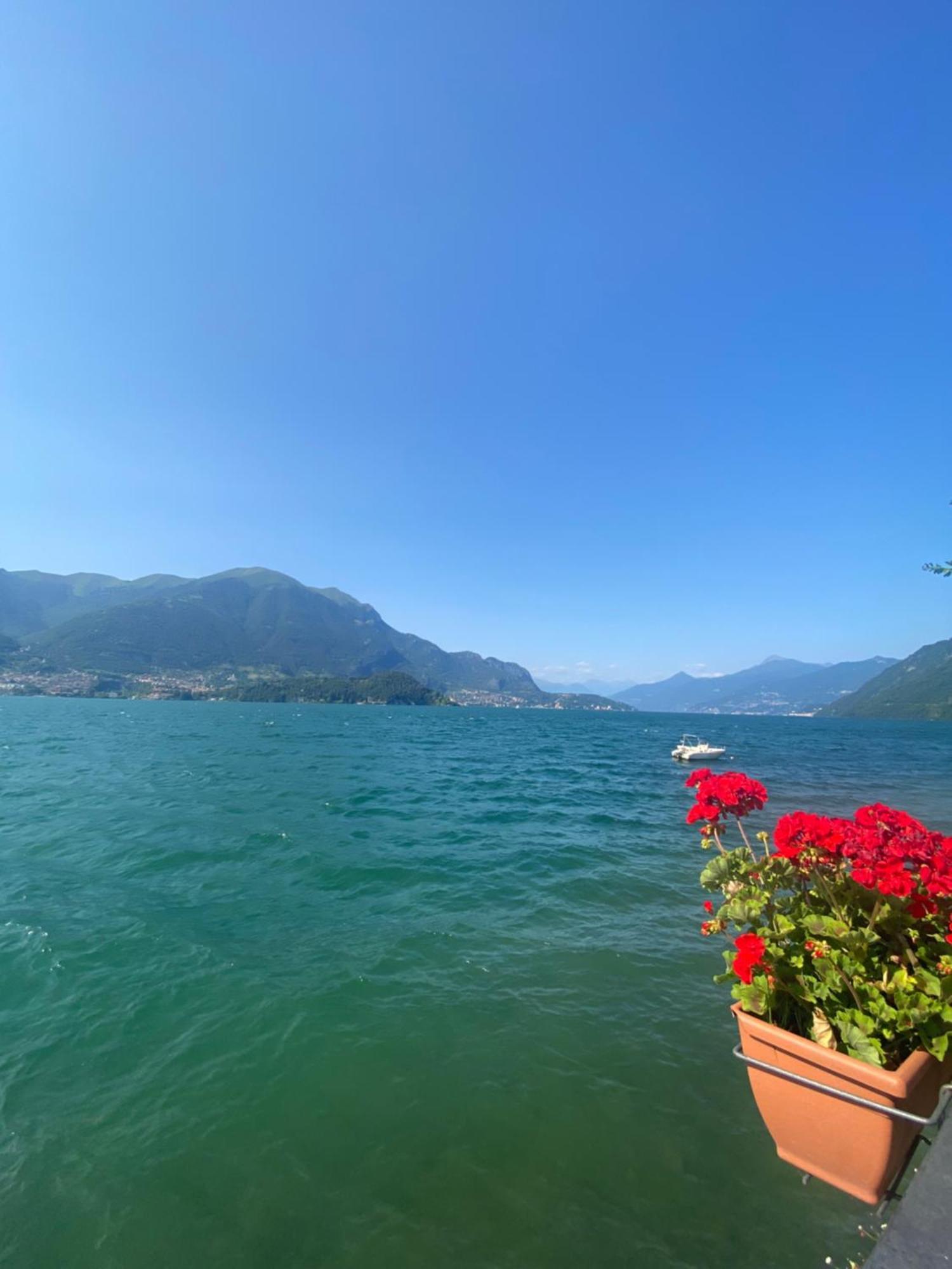 Peonia Apartment - Appartamento Vista Lago Lezzeno Dış mekan fotoğraf