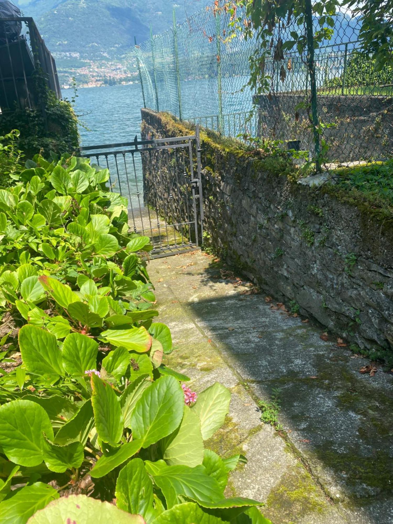 Peonia Apartment - Appartamento Vista Lago Lezzeno Dış mekan fotoğraf