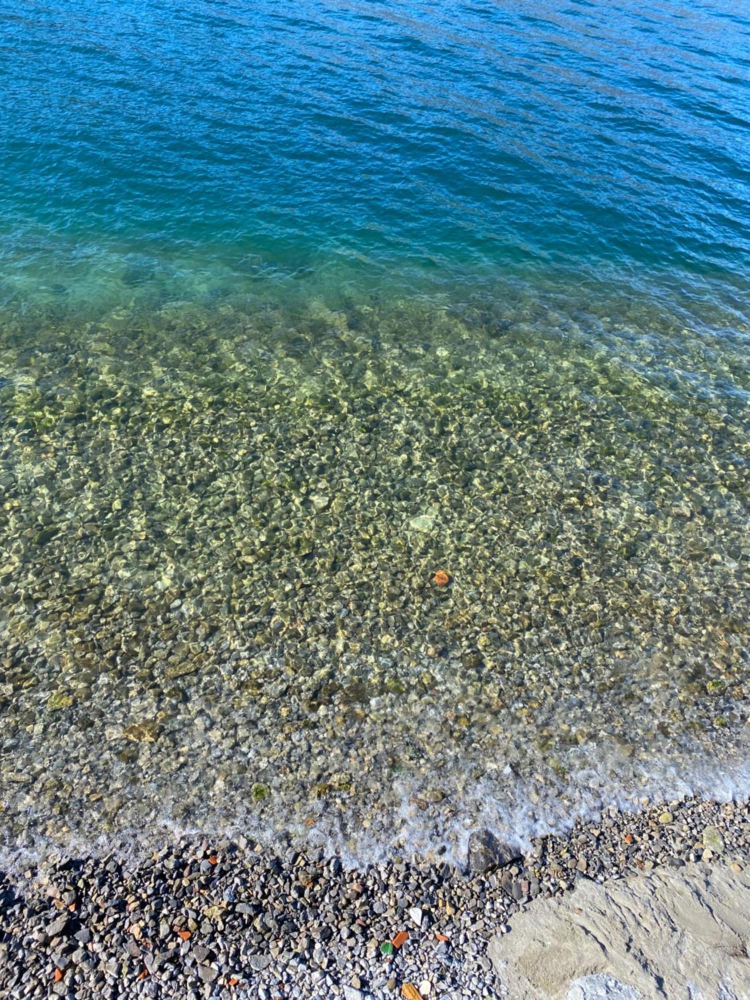 Peonia Apartment - Appartamento Vista Lago Lezzeno Dış mekan fotoğraf