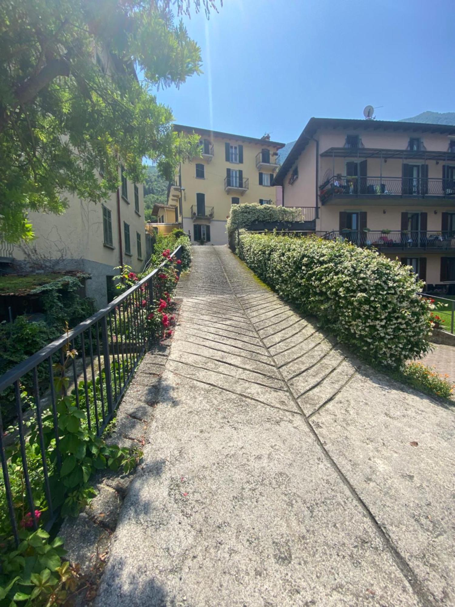 Peonia Apartment - Appartamento Vista Lago Lezzeno Dış mekan fotoğraf