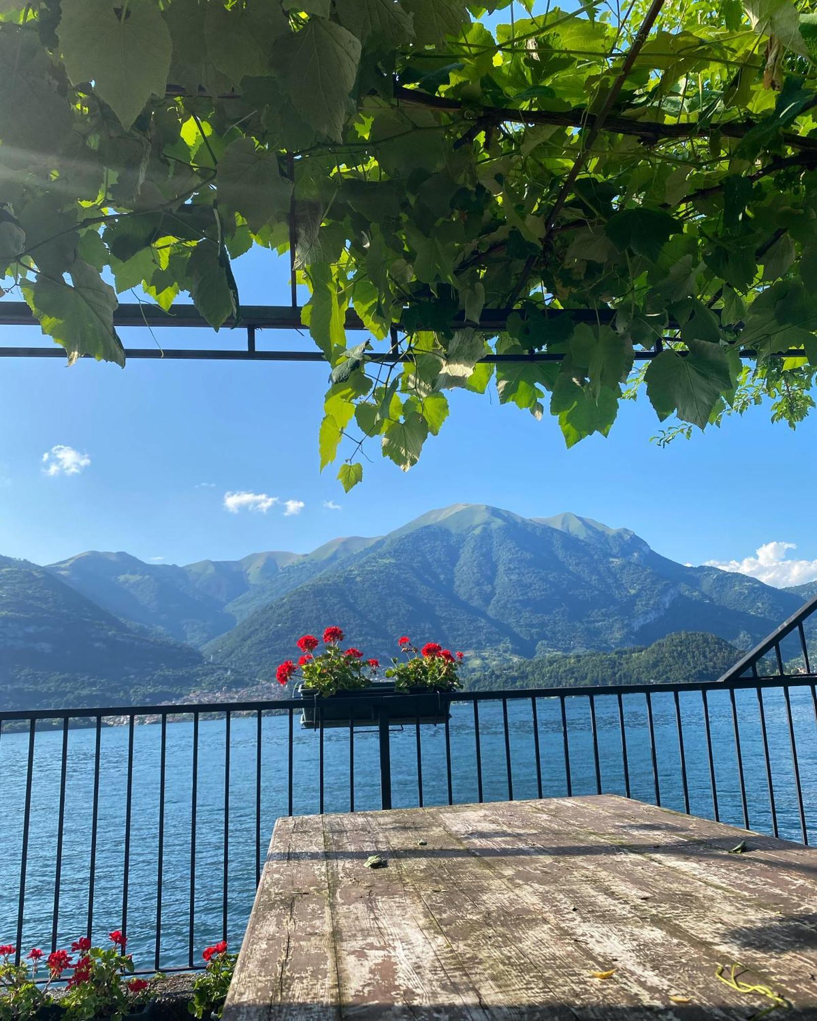 Peonia Apartment - Appartamento Vista Lago Lezzeno Dış mekan fotoğraf