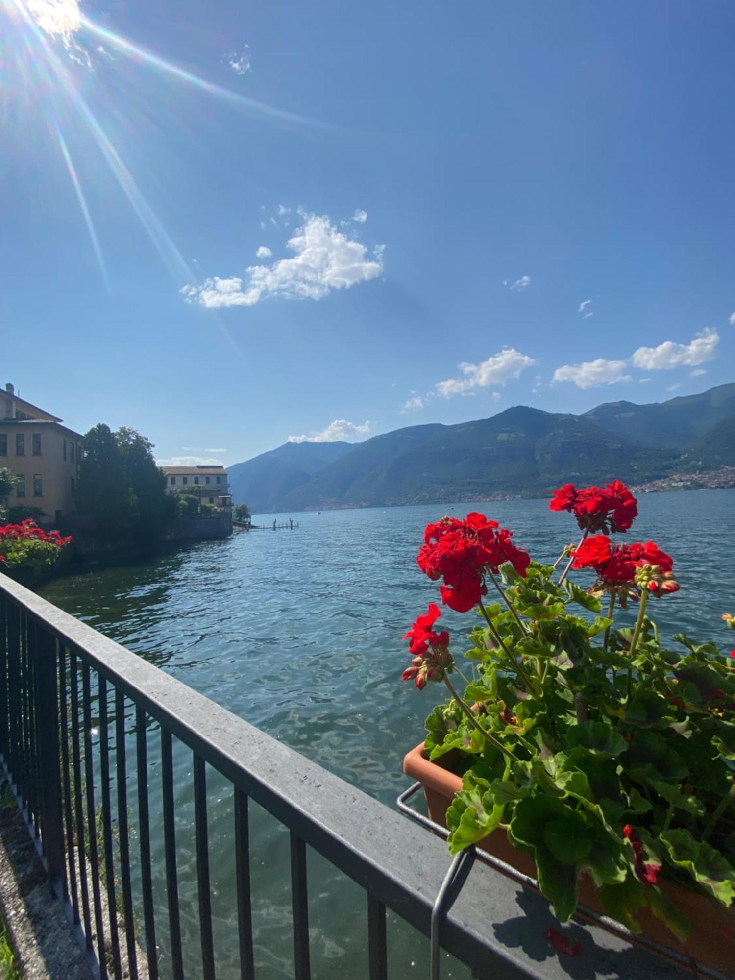Peonia Apartment - Appartamento Vista Lago Lezzeno Dış mekan fotoğraf