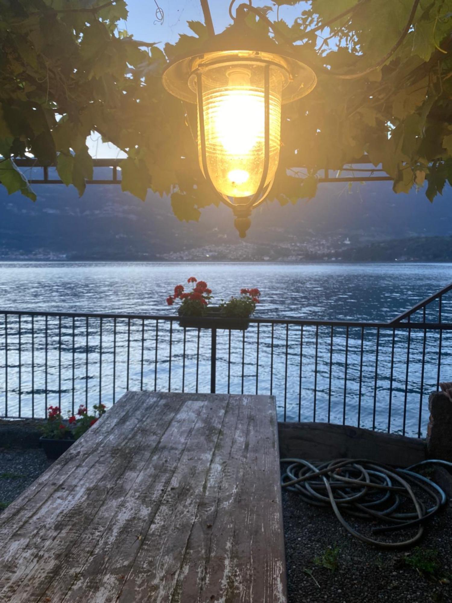 Peonia Apartment - Appartamento Vista Lago Lezzeno Dış mekan fotoğraf