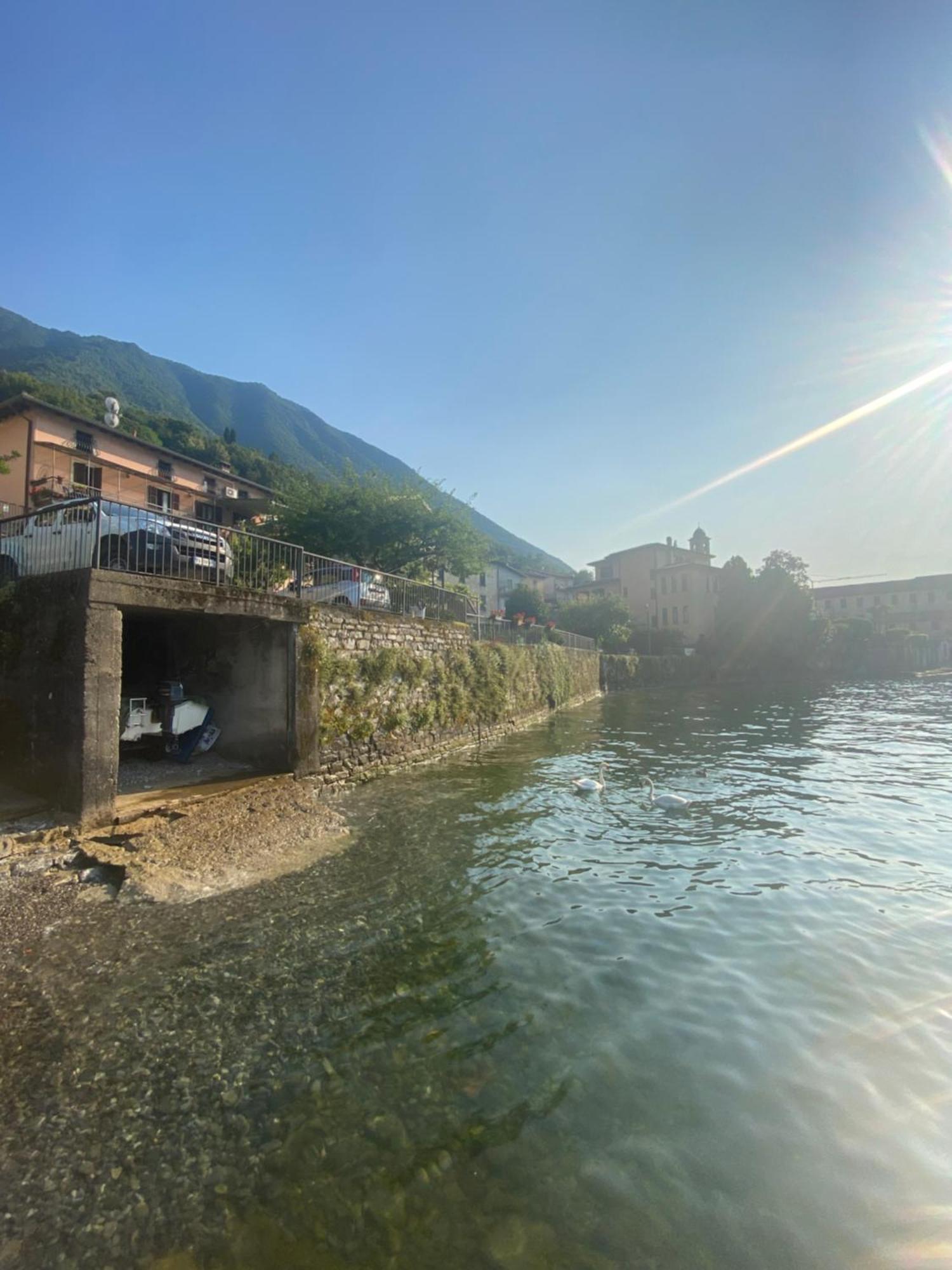 Peonia Apartment - Appartamento Vista Lago Lezzeno Dış mekan fotoğraf