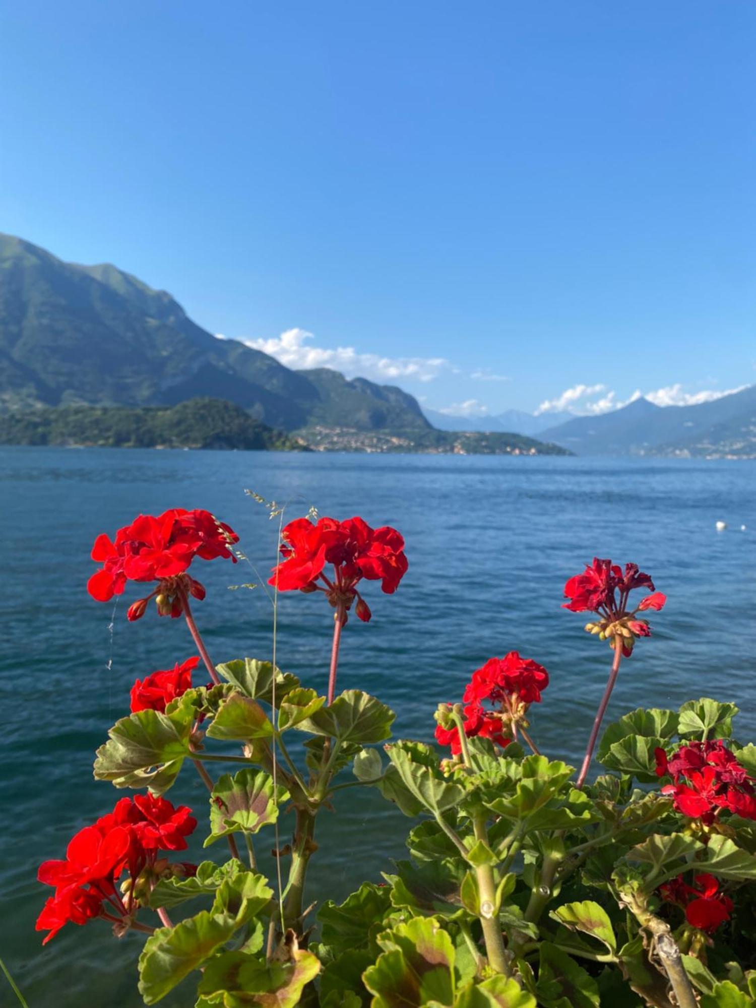 Peonia Apartment - Appartamento Vista Lago Lezzeno Dış mekan fotoğraf